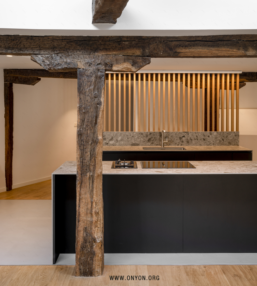 NV12(这是一个特定的图像格式术语,一般直接使用英文缩写,无需翻译)丨SpainVizcaya丨ONYON arquitectura + interiorismo-22