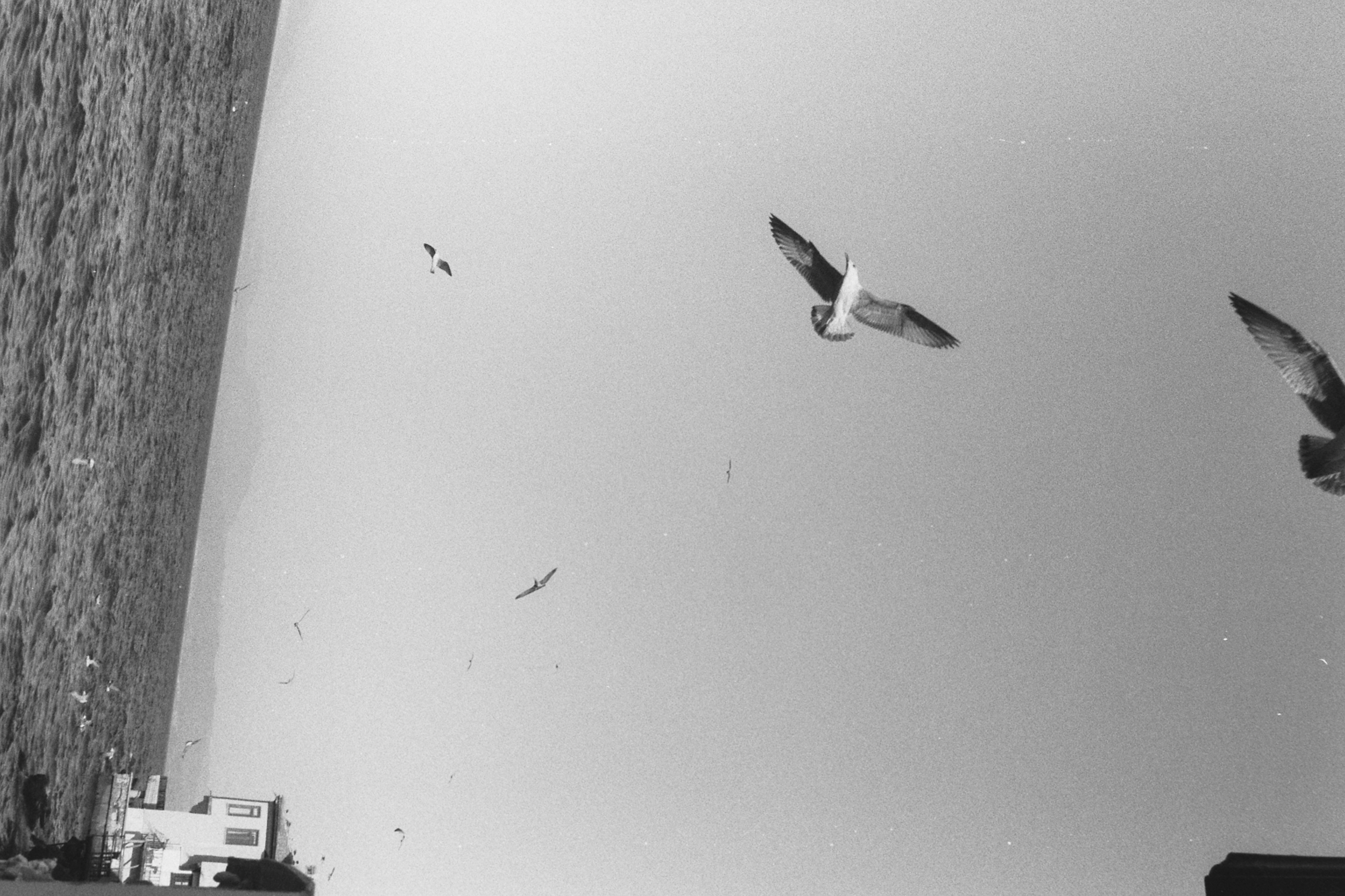 黑白电影日记相关摄影项目-10