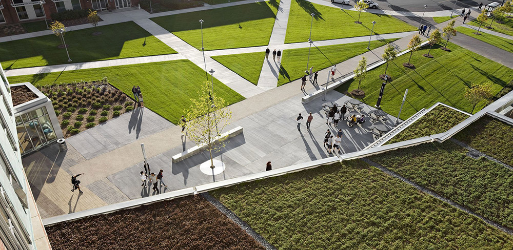 塞勒姆州立大学沼泽大厅-24