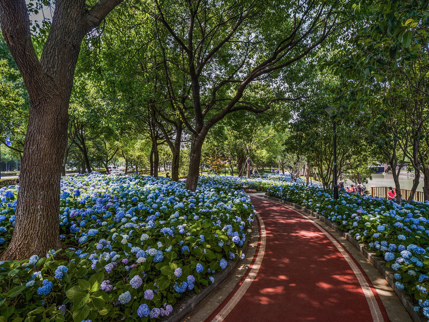 嘉兴口袋公园-54