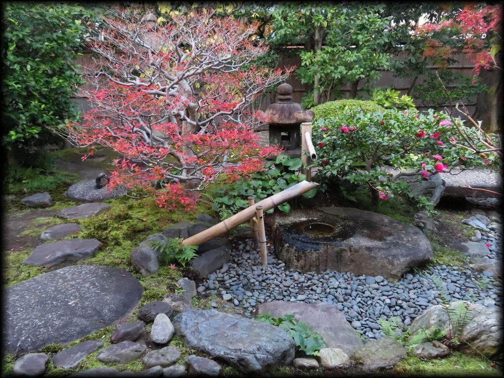 东寺观智院茶室「楓泉観」的露地丨日本京都丨未明确,可能为山田造园（仅为猜测）-26