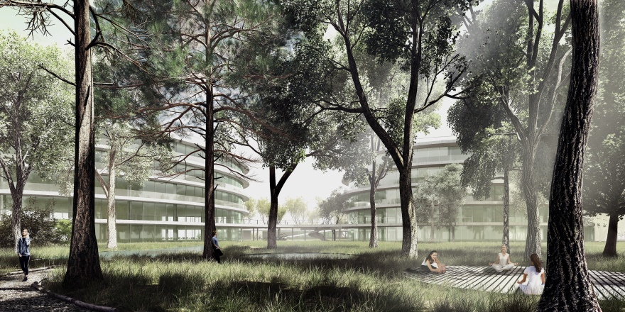 阿根廷森林中的办公园区 | MSGSSV 办公室设计-26