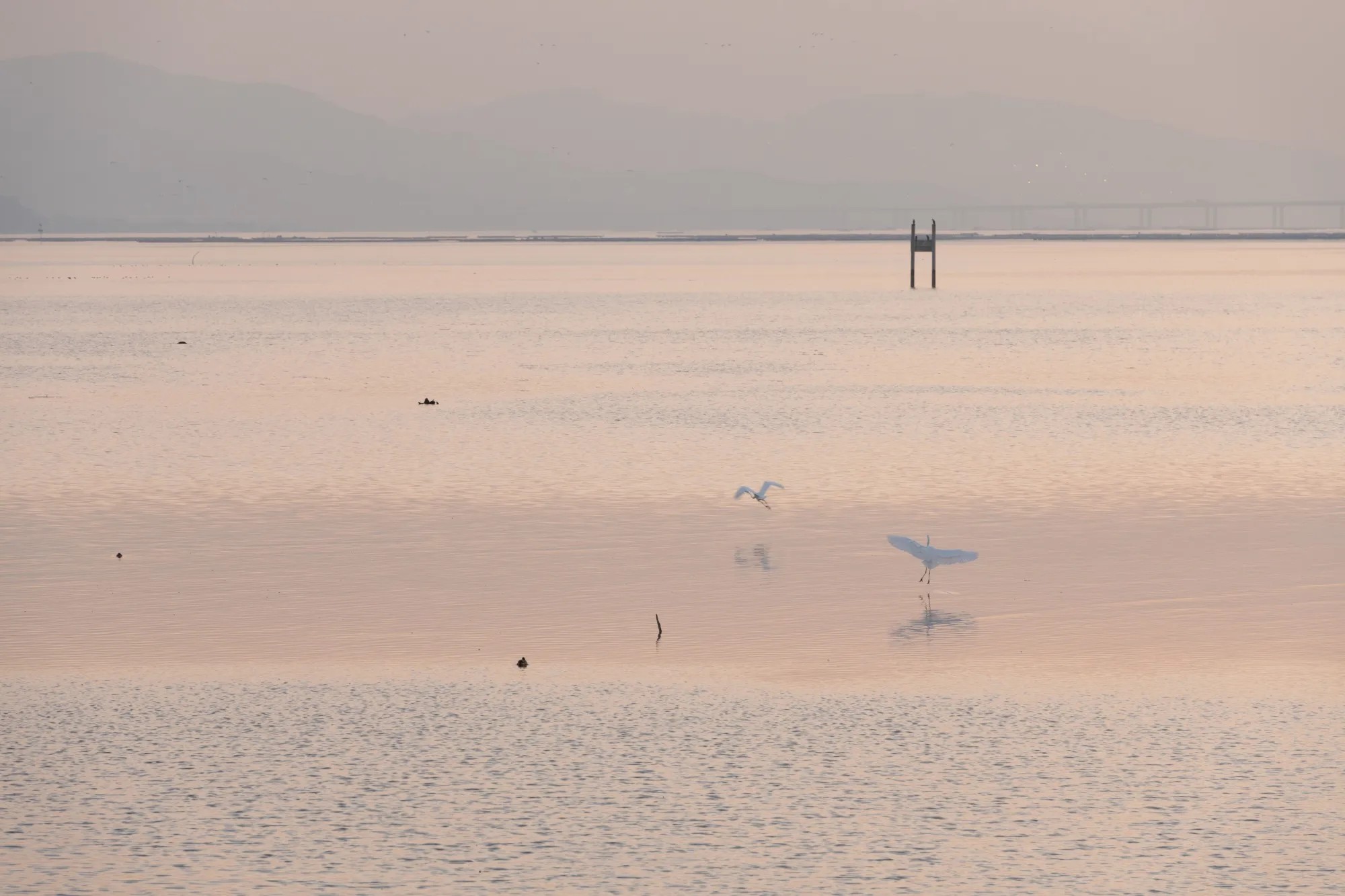 福田红树林国家级自然保护区避风塘,淡水塘,5  11号塘丨中国深圳丨北京一方天地环境景观规划设计咨询有限公司-28