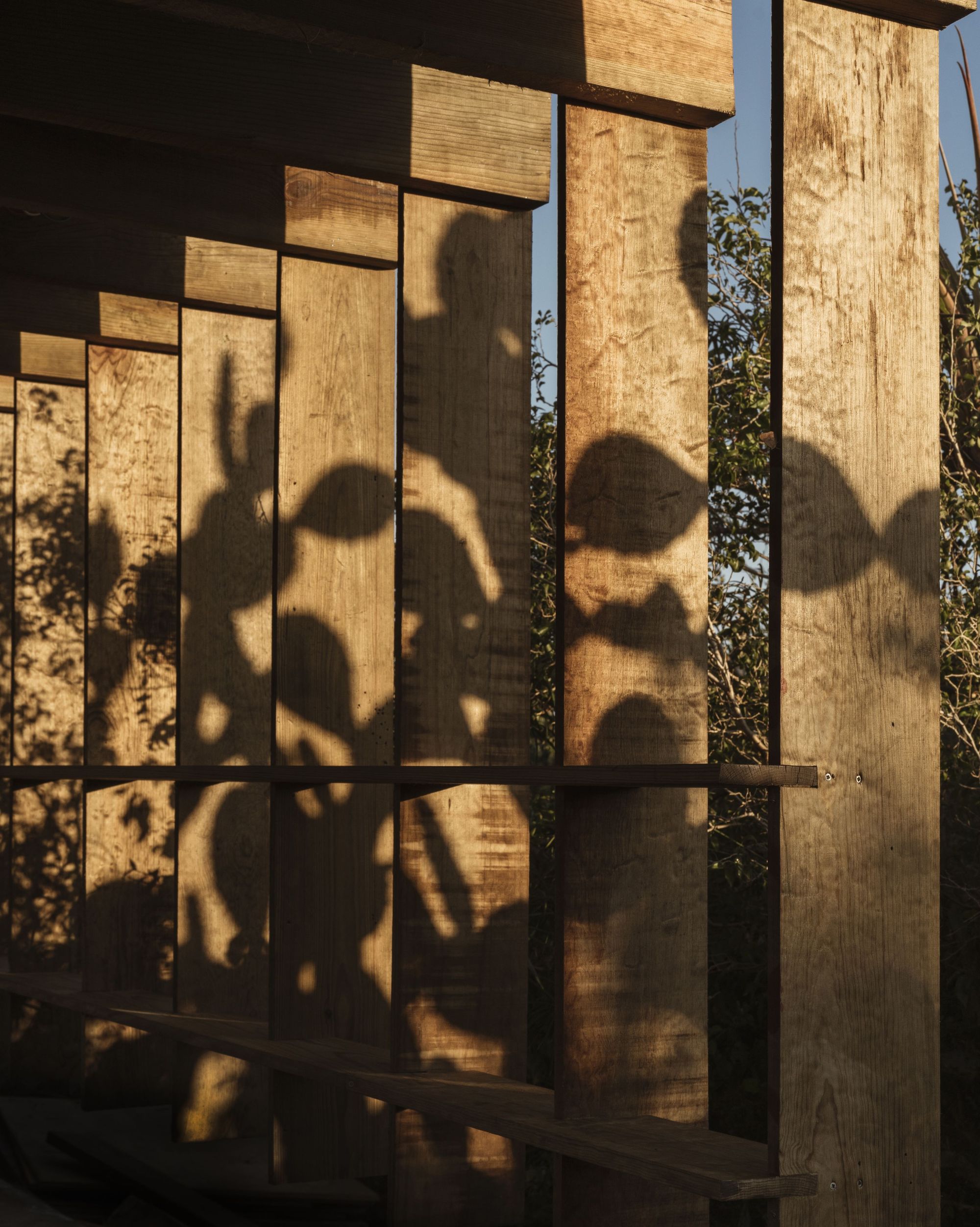 陆地酒店丨墨西哥瓦哈卡-11