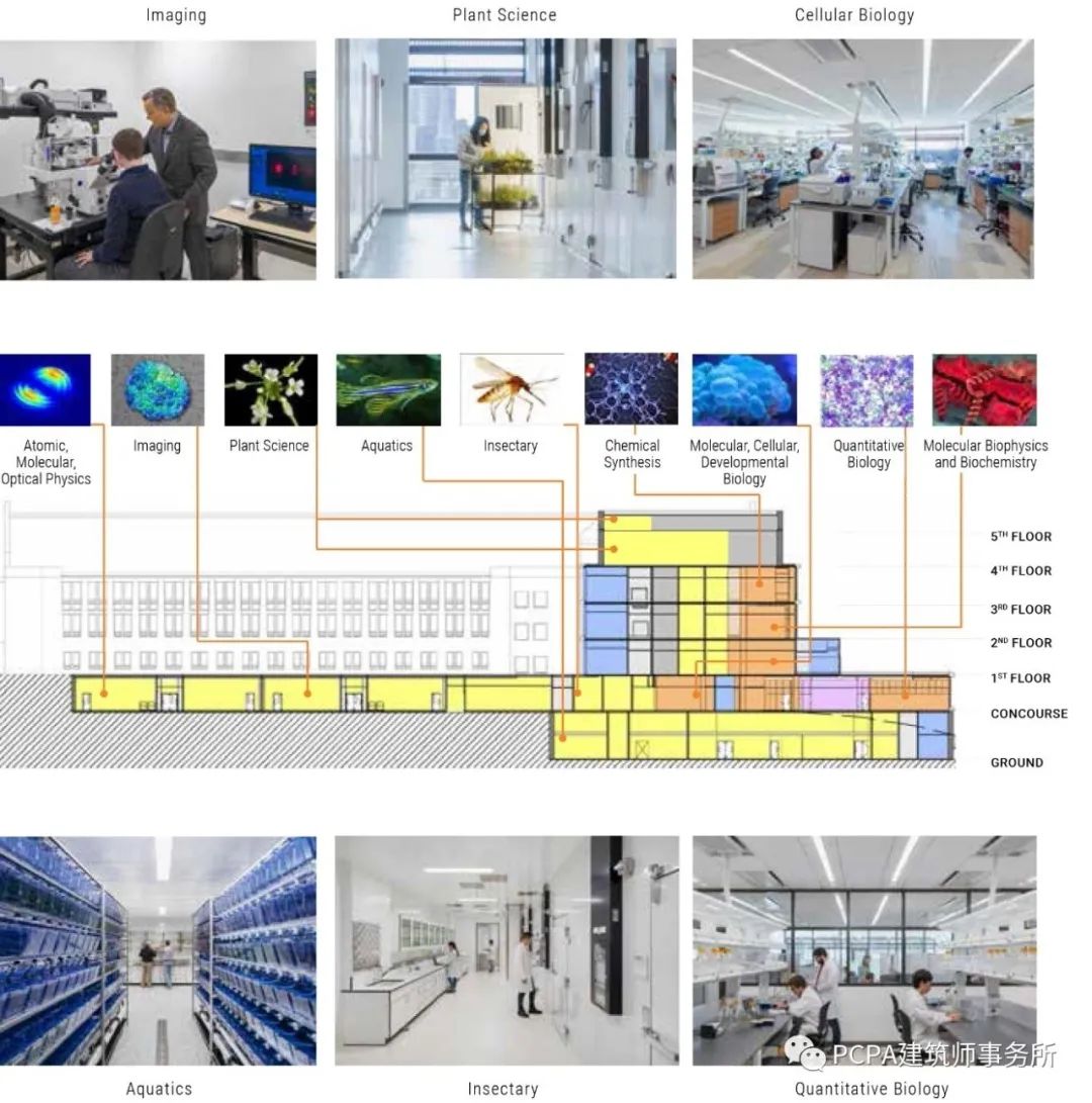 耶鲁科学楼 | 面向未来的科研社区-43