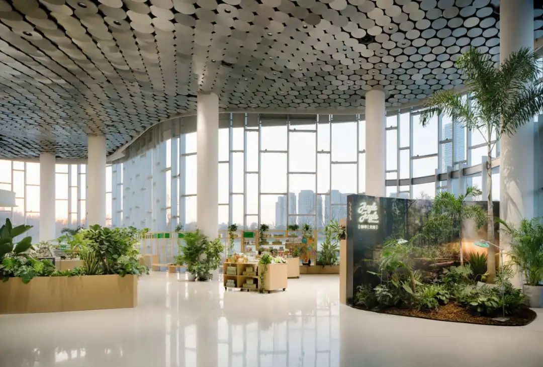 叮当丛林文创咖啡丨中国上海丨桐话空间-14