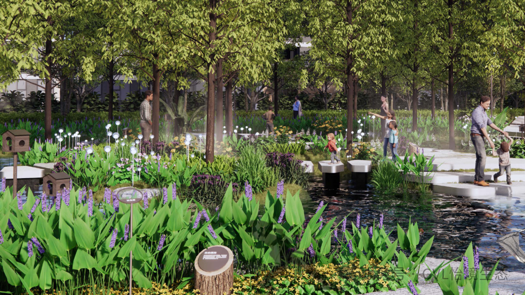 独家干货！在住宅区里建一个神奇水花园-57
