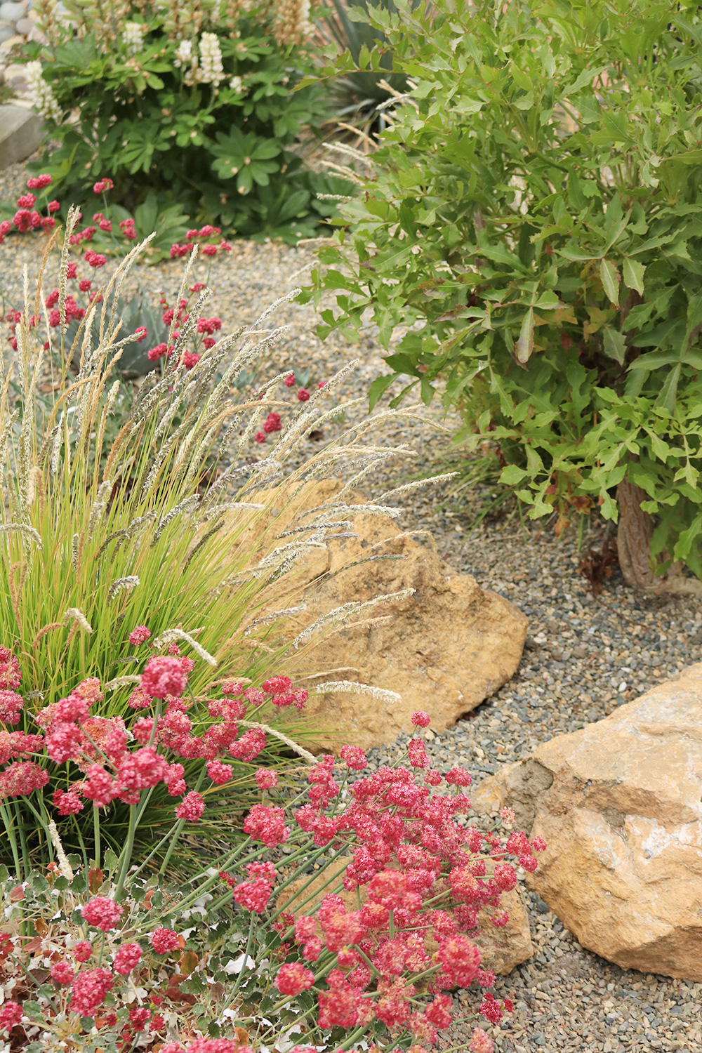 身边风景 | Soft Studio-98