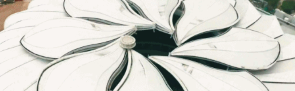 恒大"魔性"足球场 | 建筑大师许家印的"莲花"之梦-119