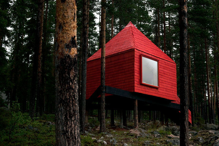 Treehotel...Sleep in Nature!-45