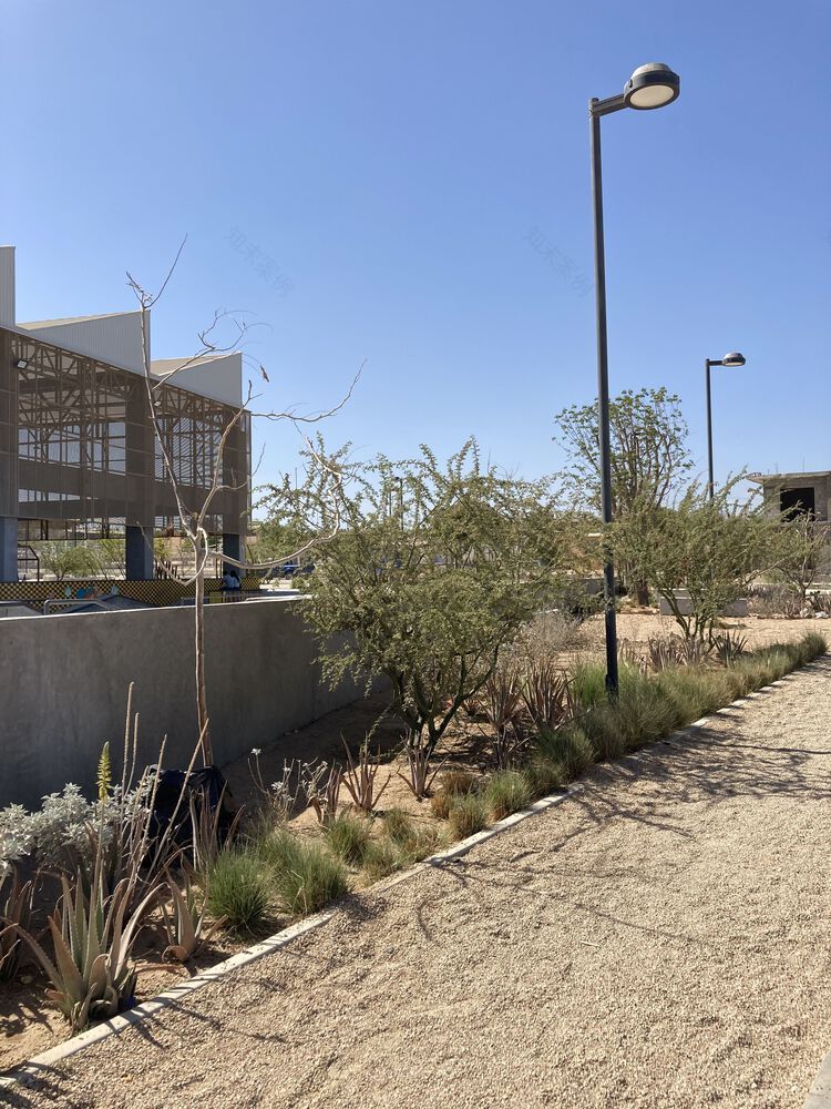 花园阴影 · 沙漠城市的公共空间基础设施丨墨西哥-43