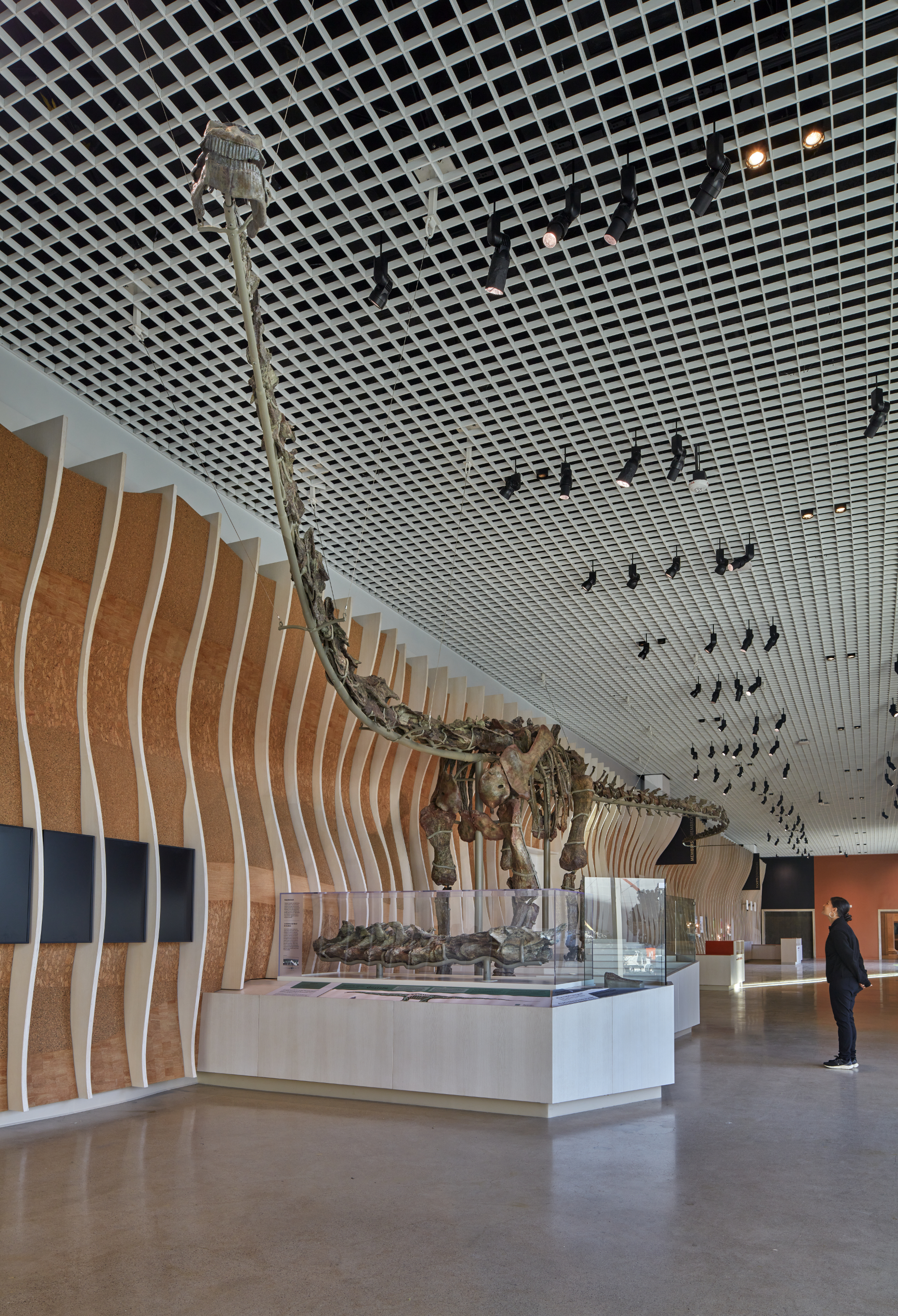 NHM Commons Museum Wing and Community Hub / Frederick Fisher and Partners-31