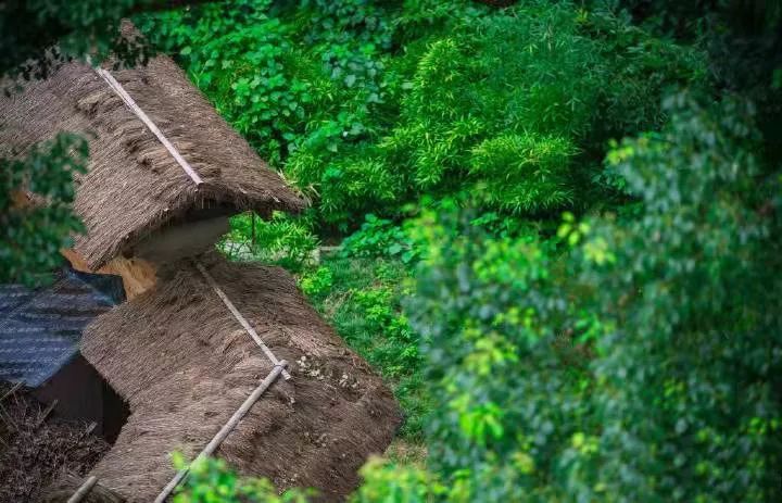 山居艺术 | 云间桃树,泉鸣林深-20