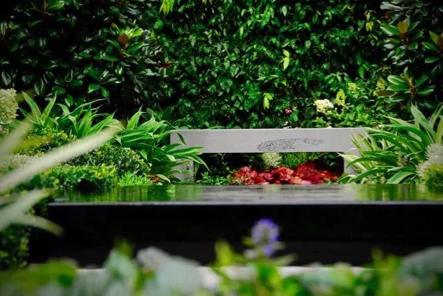 世园会澳大利亚园丨中国北京-112