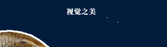 童趣瑰丽，一切皆美-3