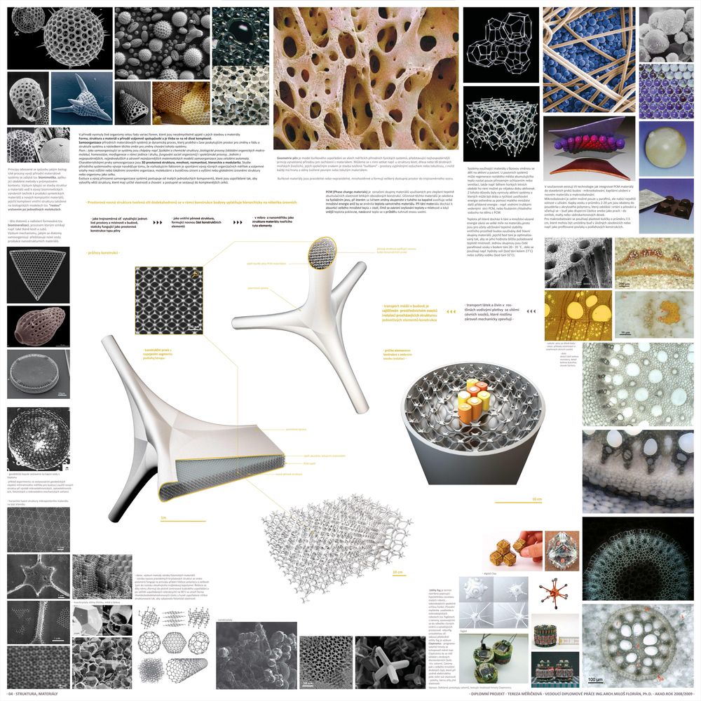 丨Tereza Měřičková-22