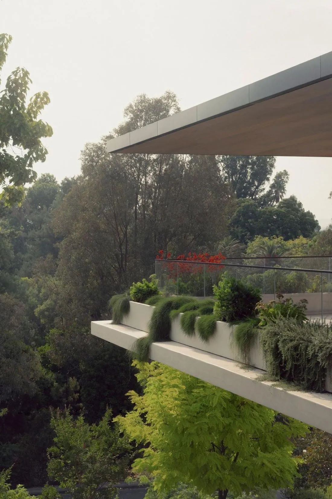 别墅丨澳大利亚丨Rob Mills Architecture Interiors-1