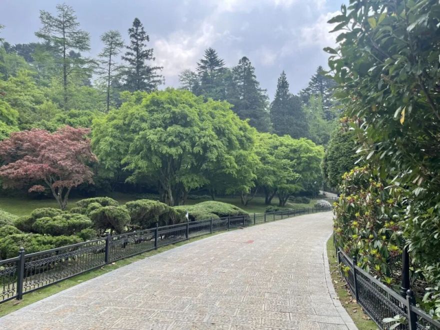 庐山植物园基础设施提升改造项目圆满竣工!-51