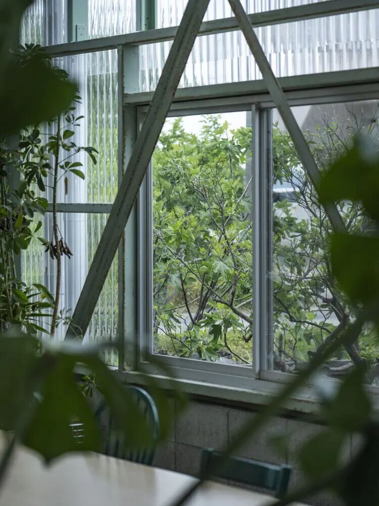 日本Teshima Factory丰岛工厂改造项目-49