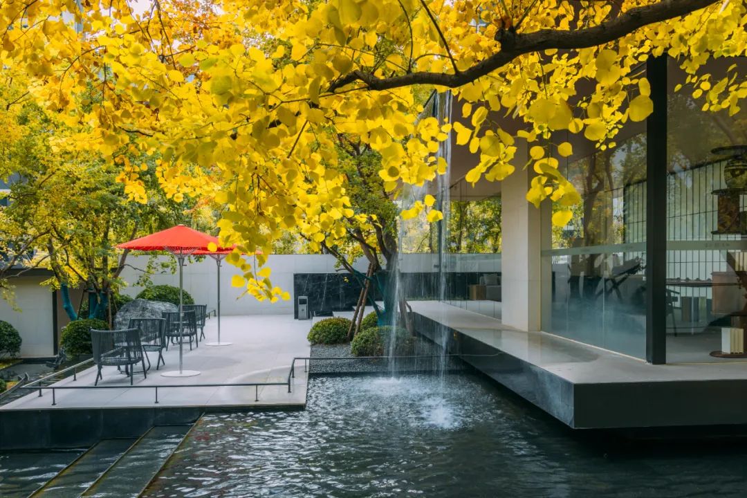 商丘金沙国安天和住宅景观丨中国商丘-18