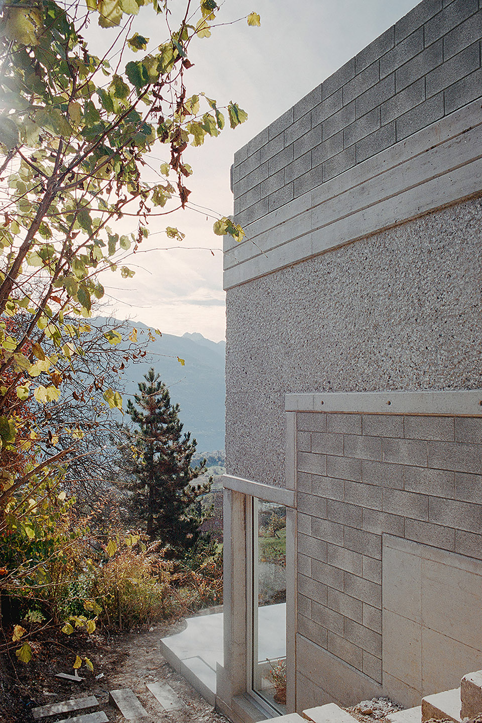 MON58住宅丨瑞士瓦莱丨Associati-16