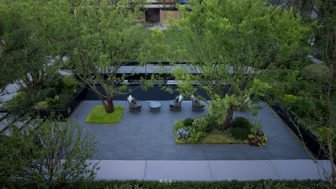 乘着旷野的风 | 中国铁建花语江南-151