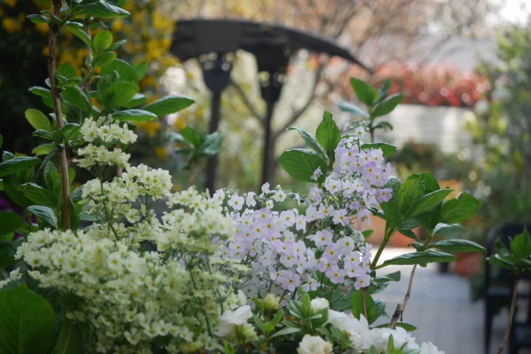 一米花园丨中国上海丨专业设计团队-49