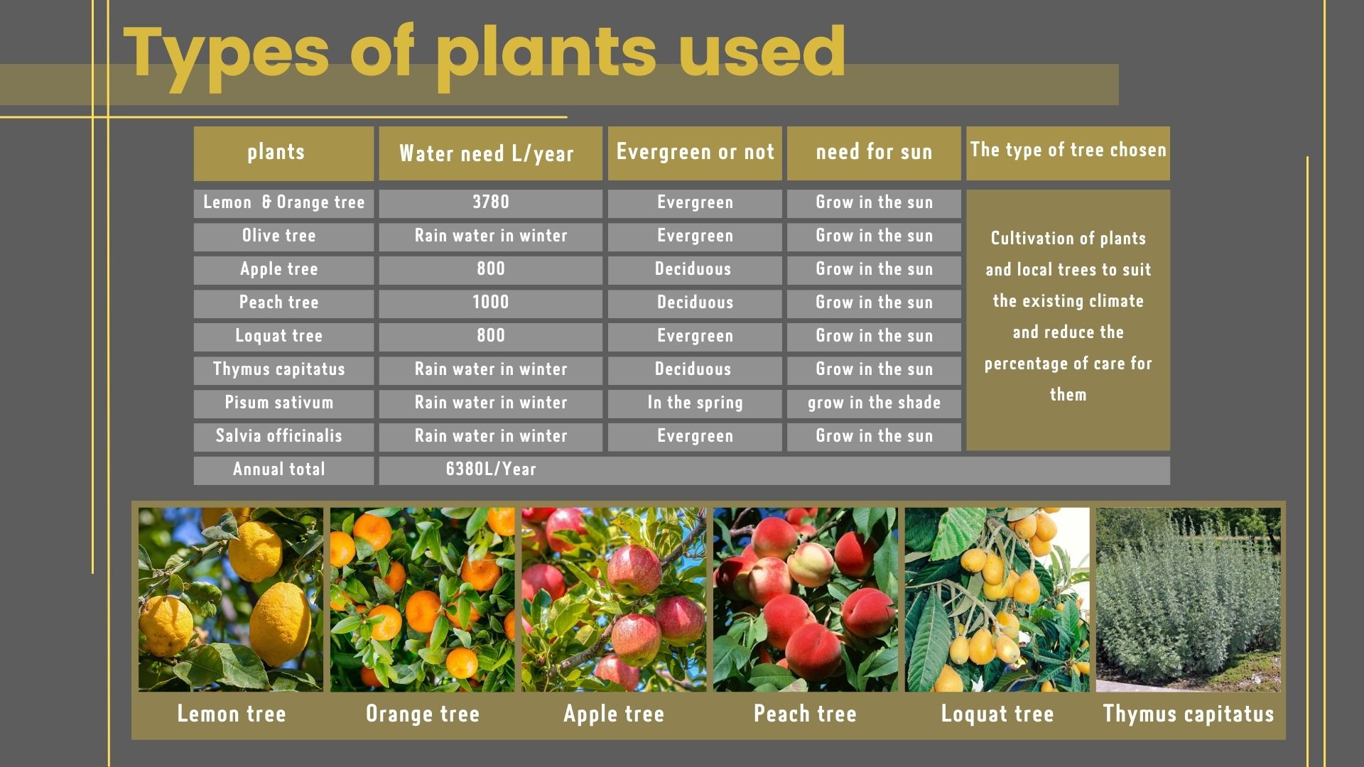 社区中心  零净能源-19