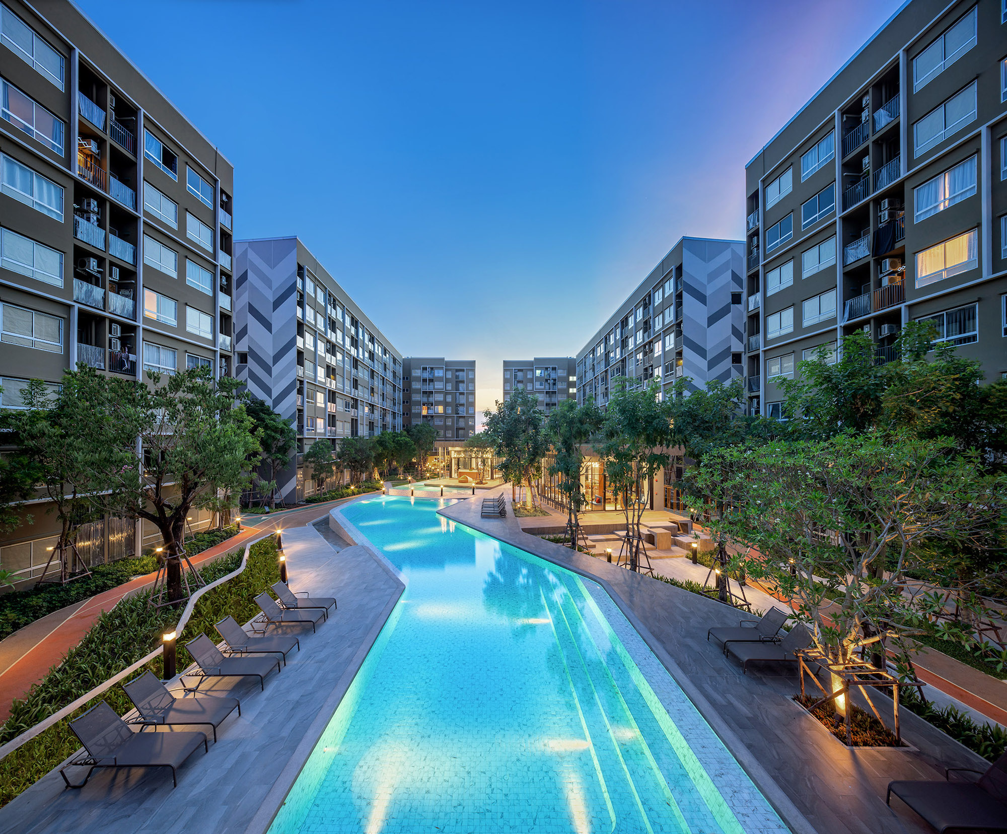 活力大区(Plum Alive)-20