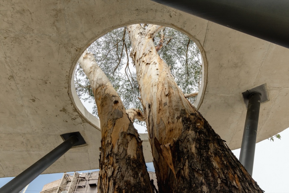 墨西哥风景花园丨墨西哥墨西哥城丨Michan Architecture等多家单位-43