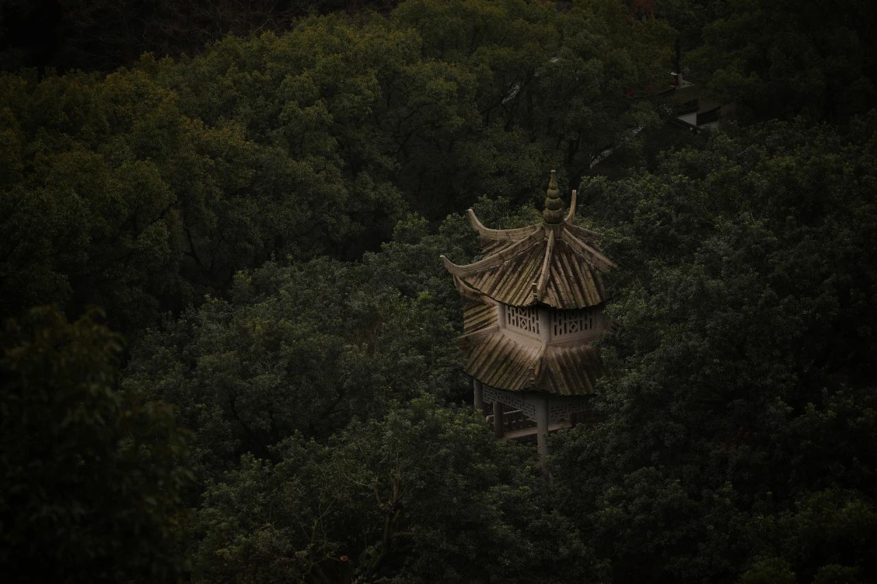 广东2000㎡花园别墅丨中国广东丨深圳太合南方设计-3