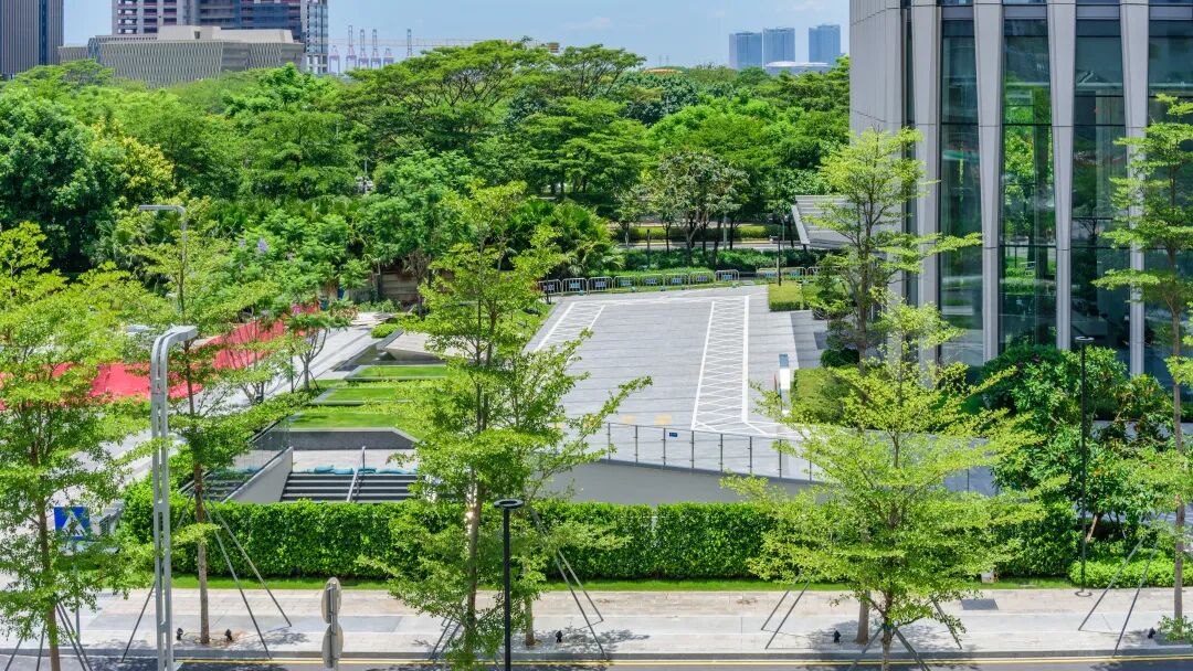 与城市共生，与自然共舞|前海中国国有资本风投大厦-10