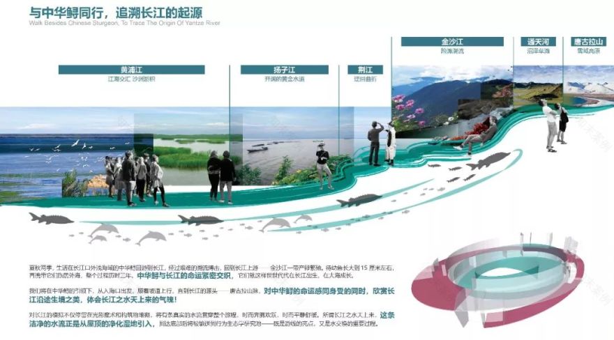 长江口中华鲟自然保护区 欧博迈亚打造世界级生态岛地标-53