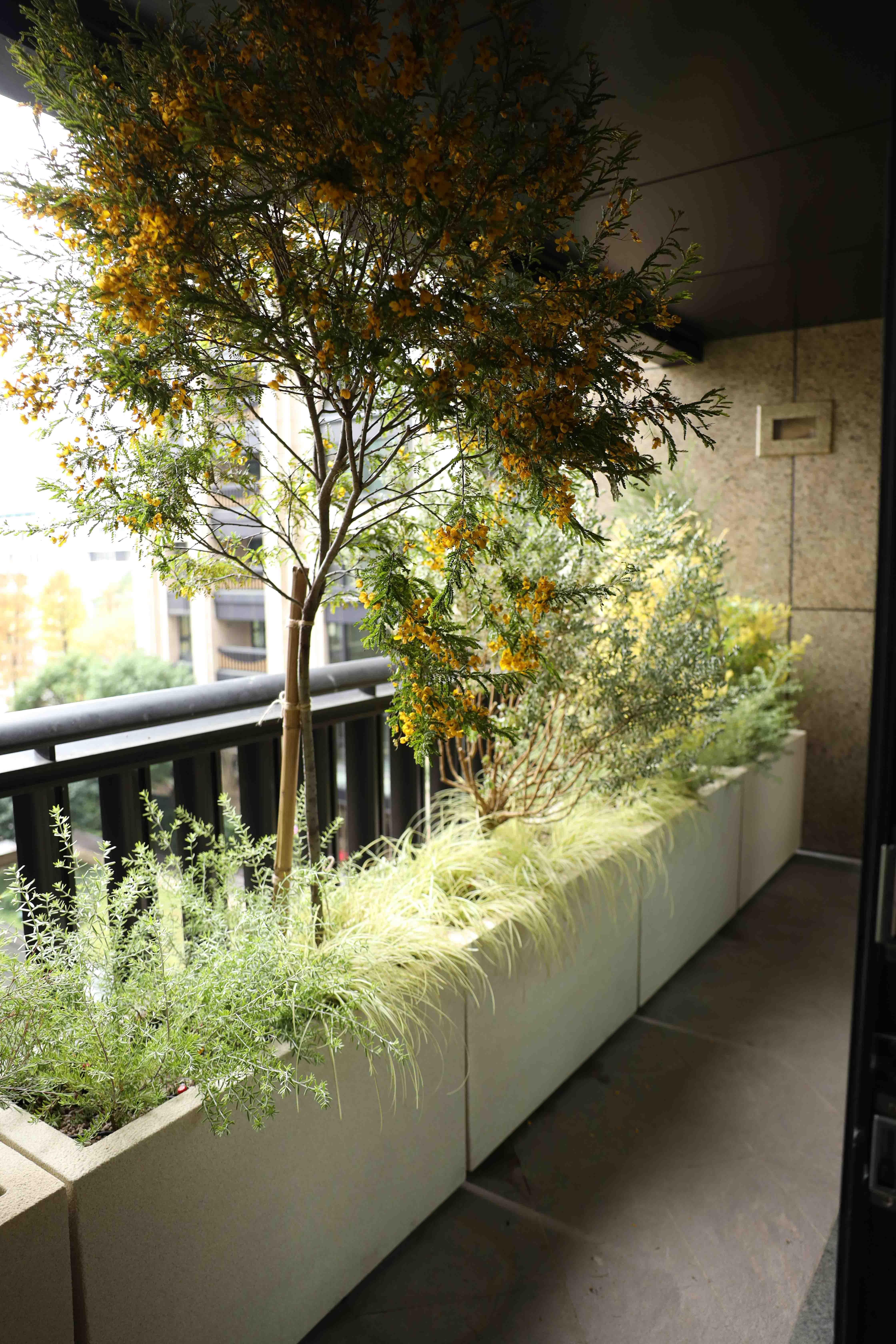 住宅案｜信義區｜陽台景觀設計-0