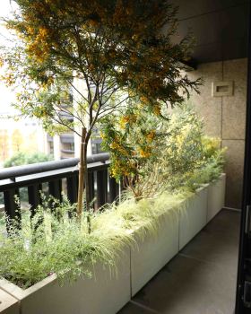 住宅案｜信義區｜陽台景觀設計