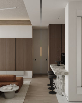 S·I·M·100公寓项目丨elvira poddubkova,sonyaarchi