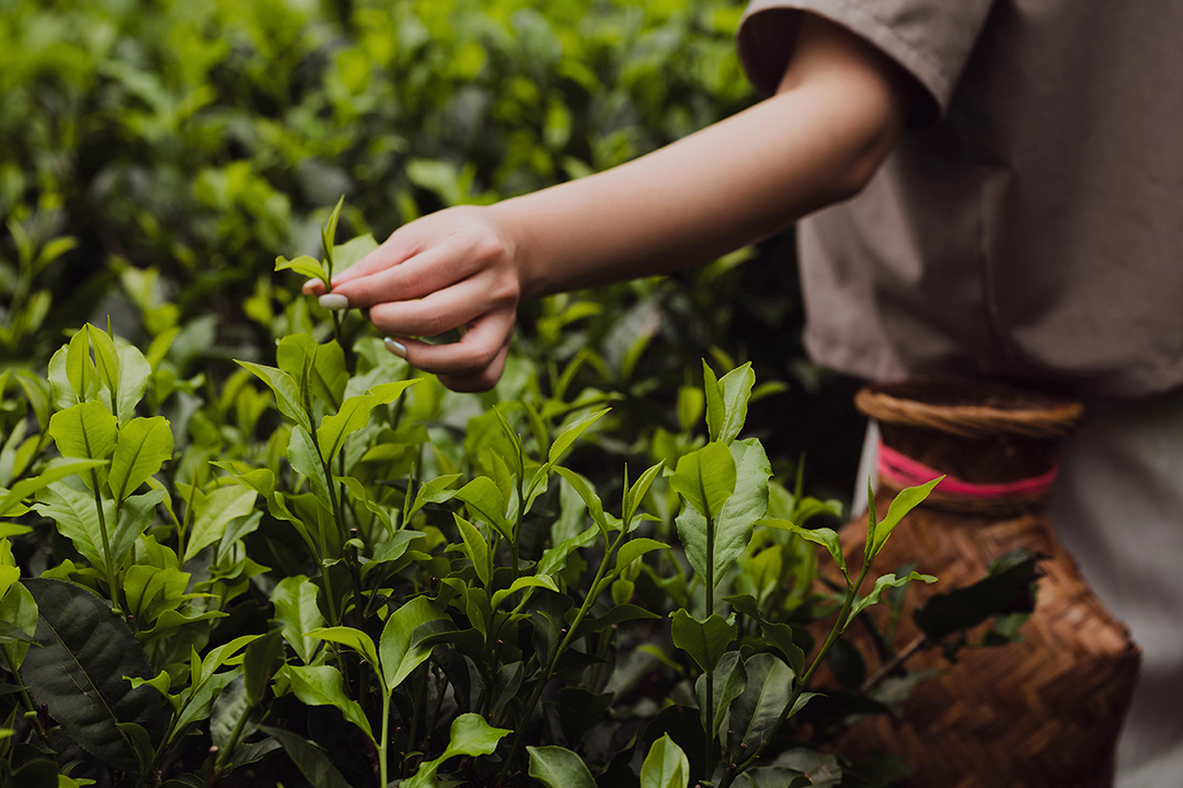 嘉佩乐酒店丨中国台北丨傅厚民(André Fu)-74