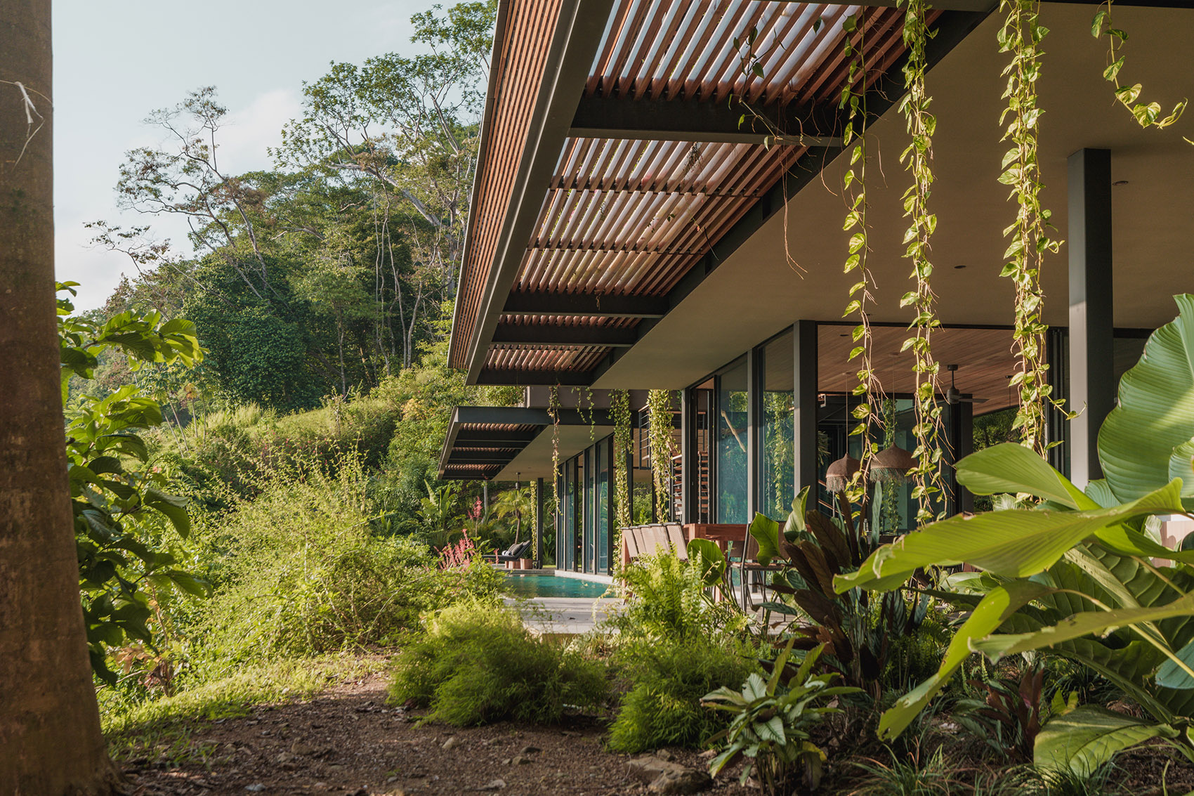 Cascada de Luz 别墅丨哥斯达黎加丨Studio Saxe-80