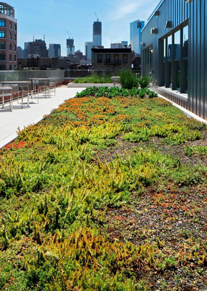 丨美国纽约市丨Morris Adjmi Architects-18