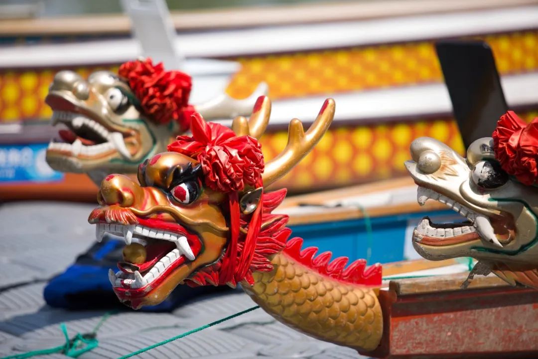 杭州西溪湿地龙舟赛丨中国杭州丨ZSD卓时-35