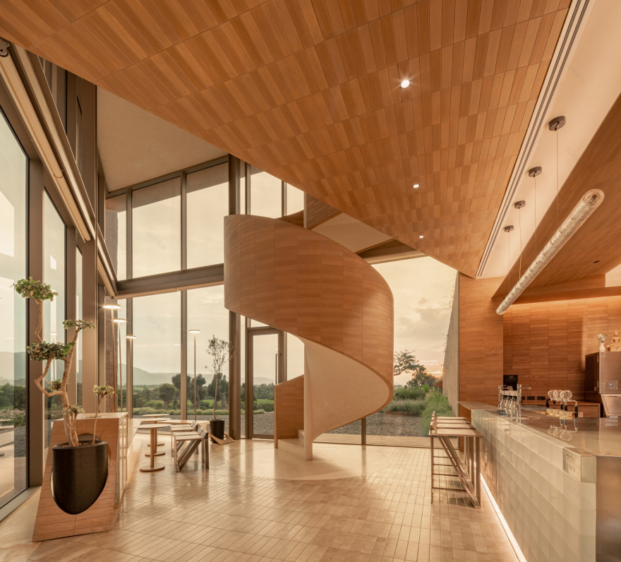 哈鲁多特考艾咖啡馆丨泰国丨IDIN Architects-31