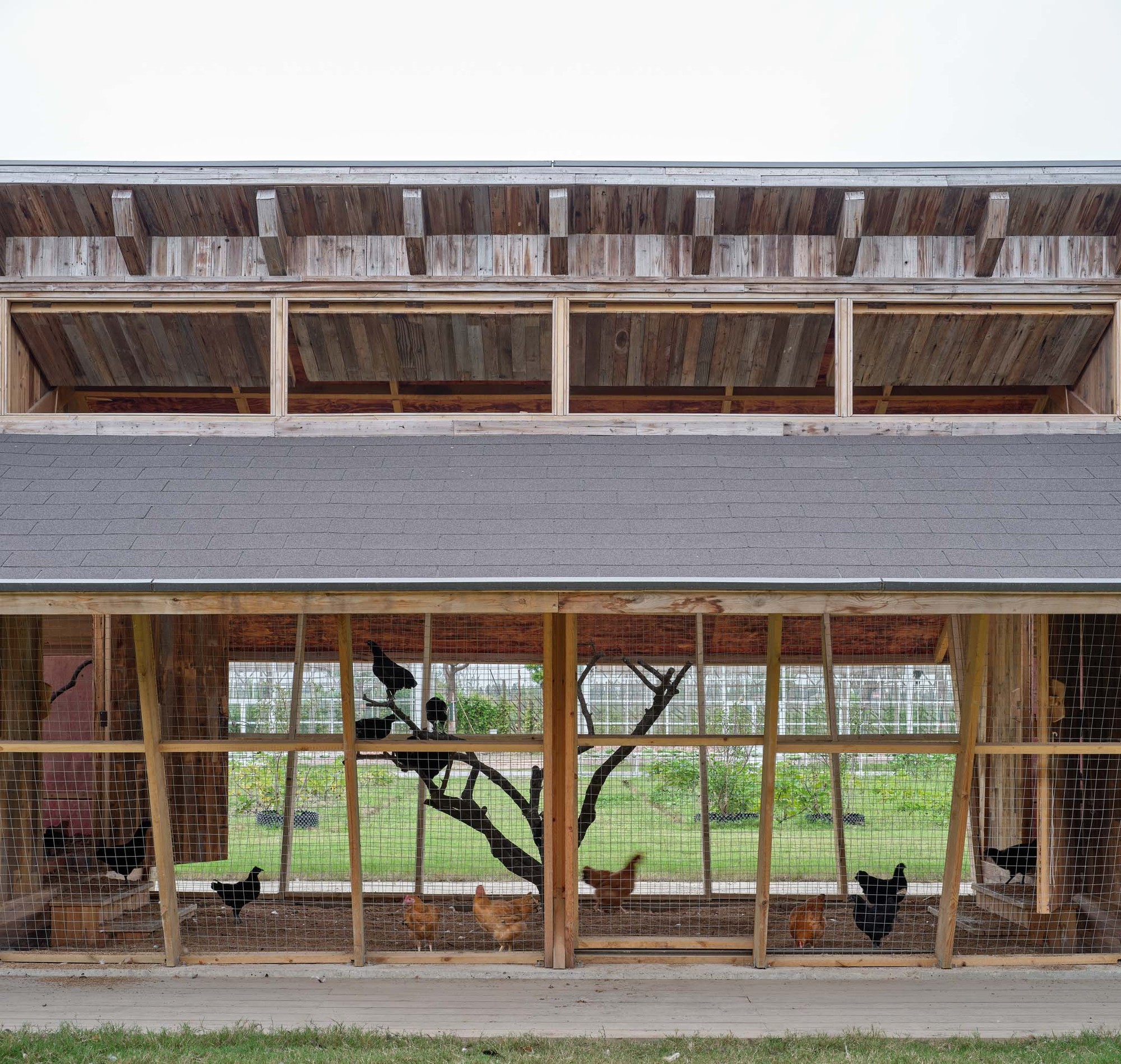 Næra Hotel 新型鸡舍设计丨Leeko Studio-11