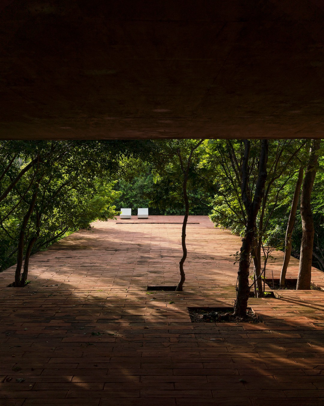 科梅塔之家丨墨西哥瓦哈卡丨Gabriela Carrillo-0