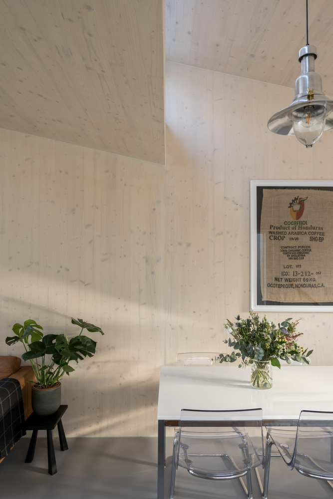 森林之家 · 可持续住宅设计丨DPQ-38