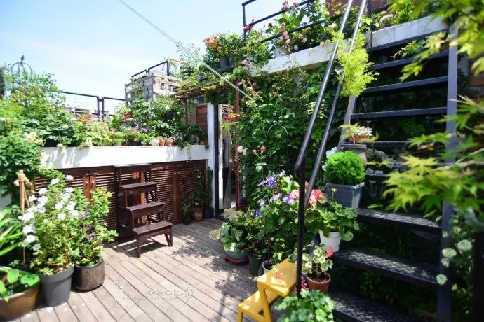 她在楼顶悄悄建了一座梦想花园，美翻了！这才是把日子过成诗的样子-176