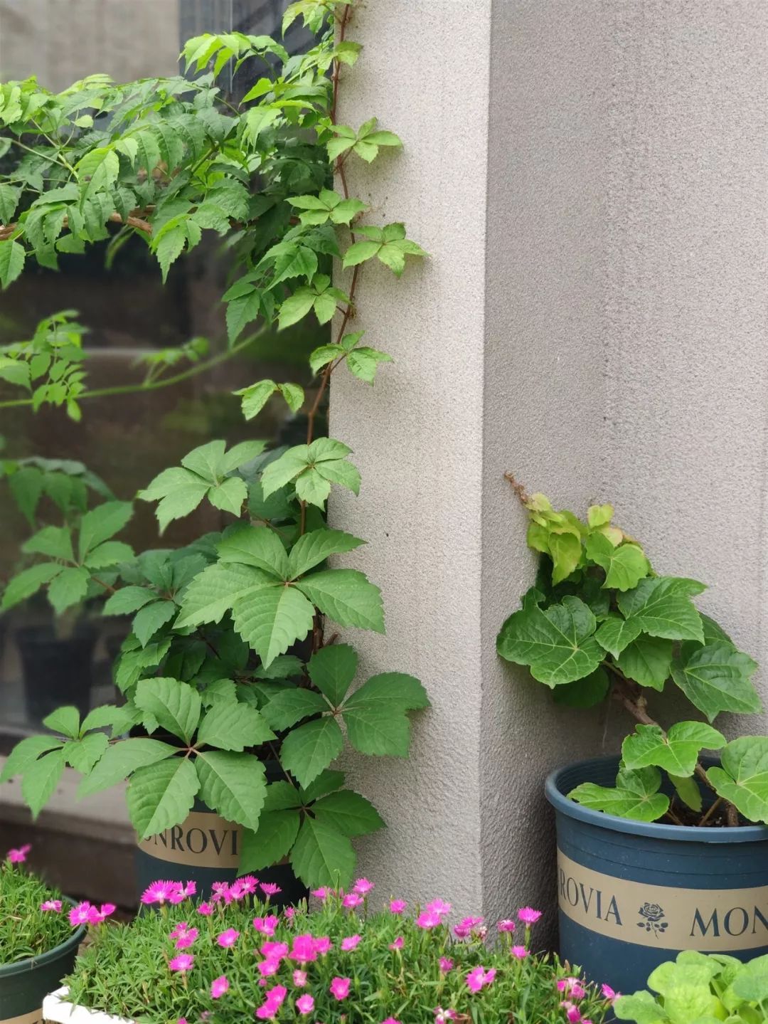 吕国龙 | 用热爱绘出鲜活设计-79