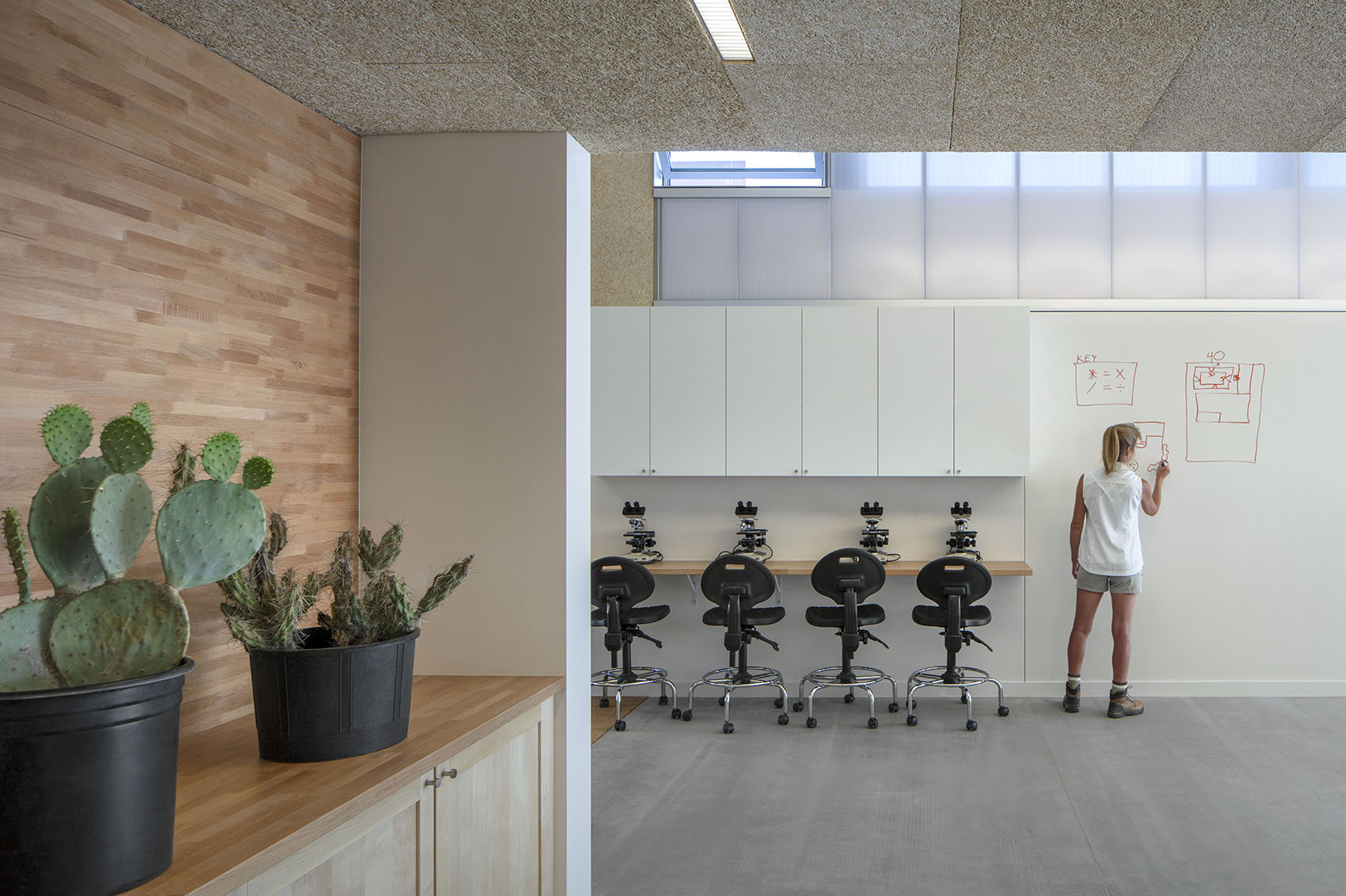 沙漠植物园一期丨美国-59