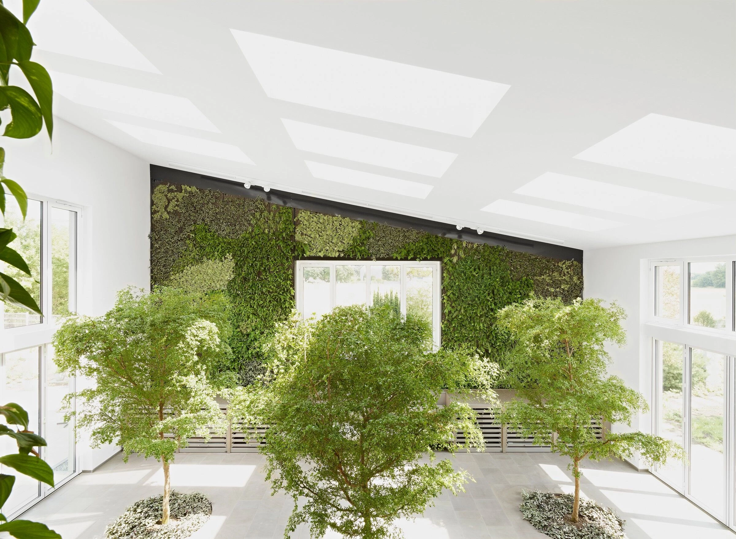 德国 Wiesbaden 新型绿色办公建筑设计-21