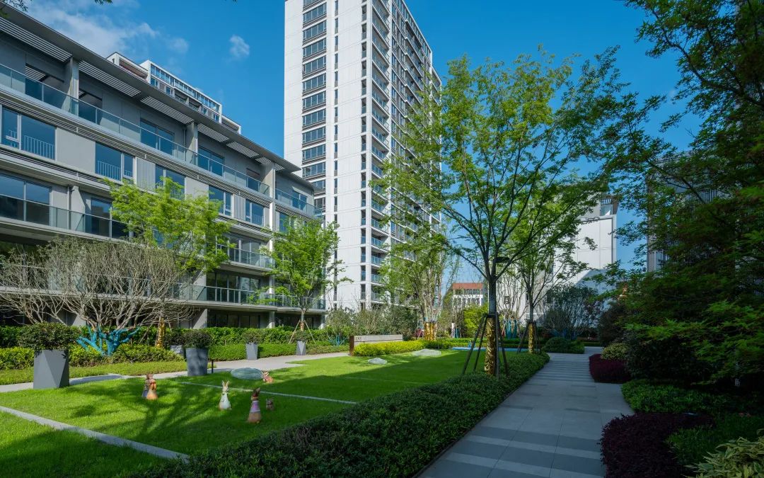 中南作品 | 建德江上云起，临江画境，自然盛景-32