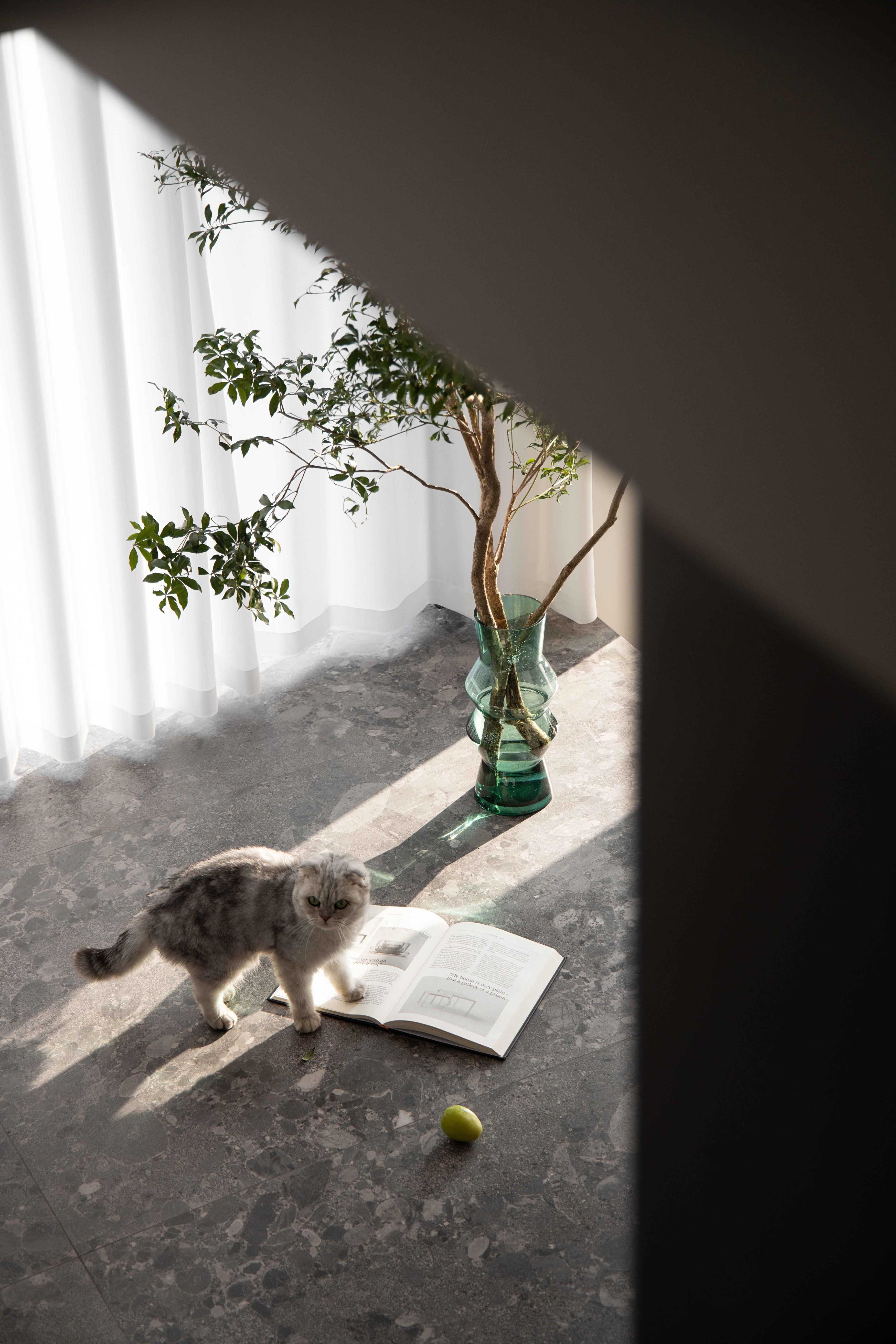 凤凰山庄丨中国安徽丨度设计机构-31